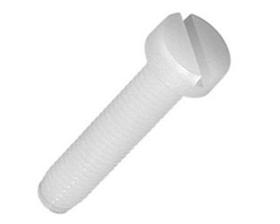 Nylon Screws